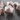 Celestial Artifact 7-Piece Metal Dice Set